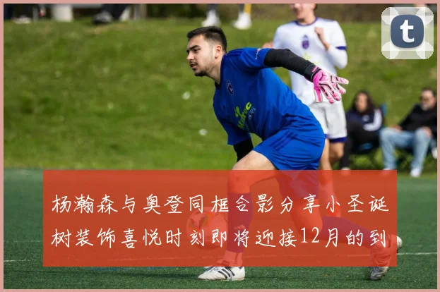 杨瀚森与奥登同框合影分享小圣诞树装饰喜悦时刻即将迎接12月的到来